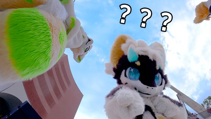 Did the performance accidentally capture something strange? The first-person view of a beast costume