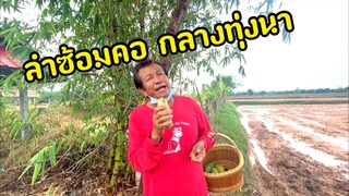รุ่งโรจน์ เพชรธงชัย พาชมทุ่งหลังฝนตกใหม่พร้อมกับลำฝากพี่น้อง