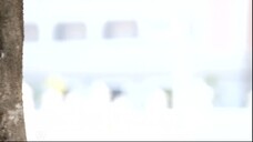 Гаруда 14