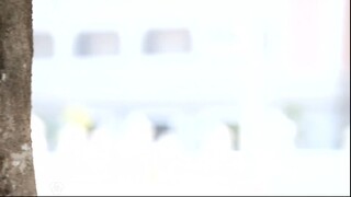 Гаруда 14