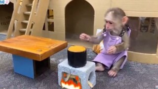 ลิงขายขนม #Funny