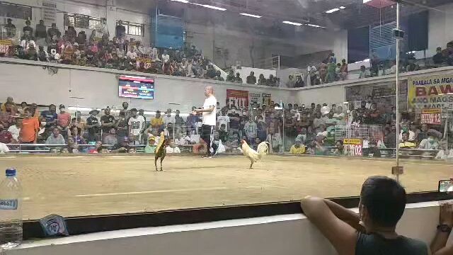 Leverville Garbage Backyard (Gilmore hatch) Pasay Cockpit