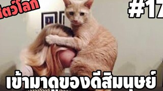 Ep.17 เข้ามาดูของดีใกล้ๆสิมนุษย์5555 ( สัตว์โลกกวนตีน SS3 ) - [ พากย์นรก ] | easy boy