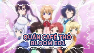 [Quán Café Thỏ (BLOOM)] ED1 - Mùa 3