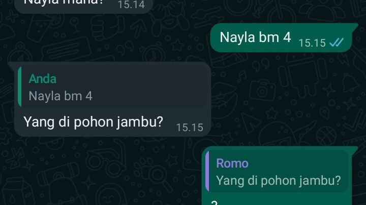 prenk temen awoakwo sasimo sama yang cantik