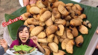 อาหารสุดแปลกสำหรับใครหลายคน ด้วงสาคู หอมๆมันๆ5/2/2020