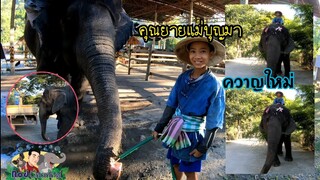 วันหยุดมีลูกพี่เก่งมาช่วยพ่อดูแลคุณยายแม่บุญมา(ควาญใหม่)