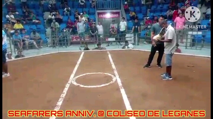 Super Domkan "Light side" Winner "Unscratched" 24 May 2025 Seafarers Anniversary Derby @ Leganes Col