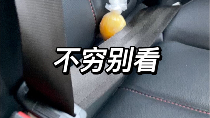 คนที่มีเงินน้อยแต่เลี้ยงหมาเก่ง มักมีความสามารถอะไรบ้าง?