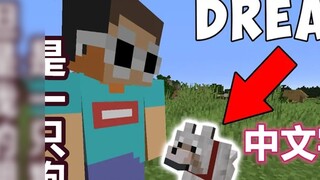 [Minecraft Dream Live/Chinese Subtitles] But My Friend is a Dog (Not Machine Translation)