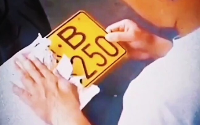 Level-100 humans are secretly evolving.