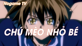 Black Cat (Short Ep 14) - Chú Mèo nhỏ bé #blackcat