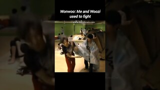 But they're so cute😭#seventeen #woozi #wonwoo #scoups #mingyu #seungkwan #dk #dino #hoshi #vernon