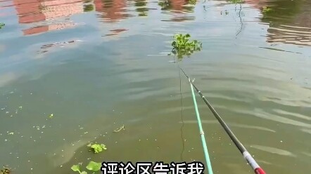 แม่น้ำป่าช่างมีเซอร์ไพรส์ทุกครั้งที่ตีเลยนะ