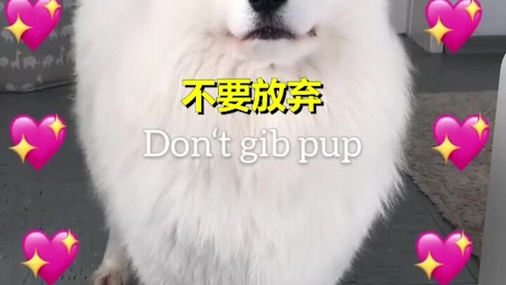 Cuộc sống mệt mỏi nhưng đừng bỏ cuộc – hãy để thiên thần nhỏ Maya chữa lành cho bạn!