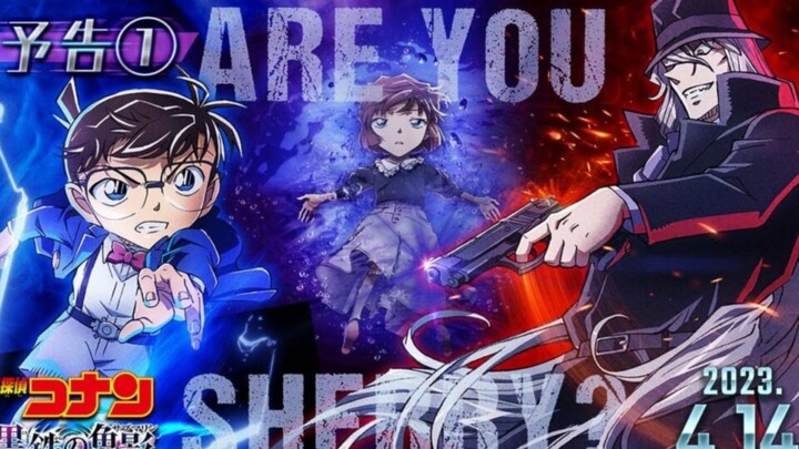 Thám Tử Lừng Danh Conan 26: Tàu Ngầm Sắt Màu Đen (Detective Conan: Black Iron Submarine)