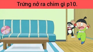 Trứng nở ra chim gì p10