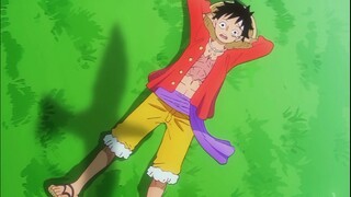 Đây có phải là thế giới trong mắt Luffy?