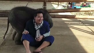 ความซุกซนยกให้น้องตะวันที่ 1 เลย😂