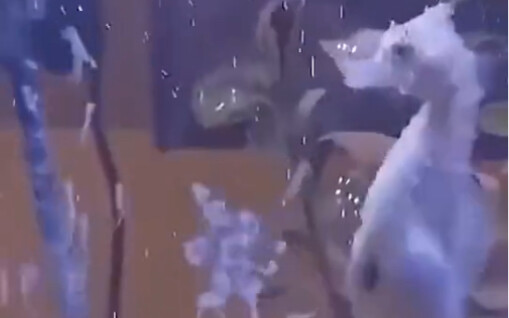 Having a baby is just so overbearing!