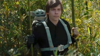 The long-awaited scene of Luke training Baby Yoda, he is still that heroic and dashing!