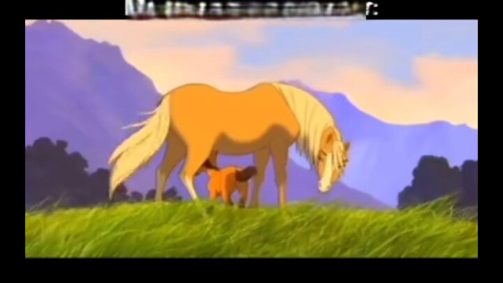 The big horse is male (there’s an explanation pinned in the comments—don’t actually get misled), but