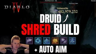 Insane Damage with Druid Shred and Auto Aim Settings in Diablo 4 - 482M+ Crits!