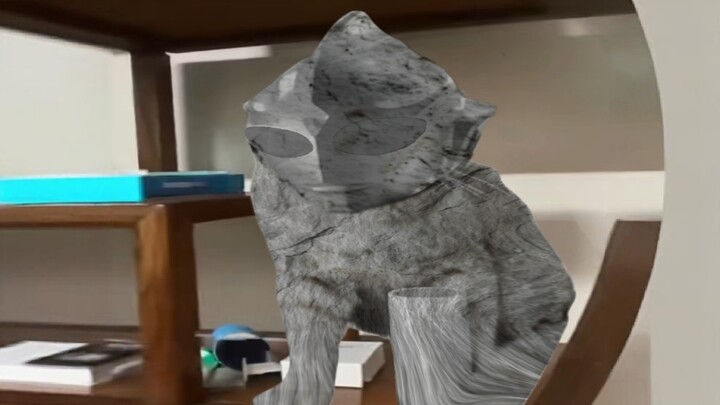 Mạo Điệt Mạn Tập 1: “Kimi Tỏa Sáng”