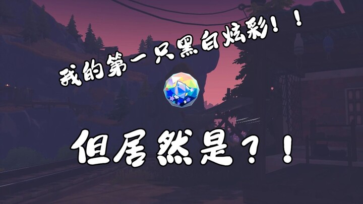 คุณรู้ได้ยังไงว่าตัวแรกที่ฉันเลี้ยงเป็นสีขาวดำแบบมีประกาย???