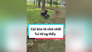 Cậu út ra đường bao ngầu còn đi ngủ đeo bỉmjoydogmom yeuchomeo doglover LearnOnTikTok chomeo xelanchomeo poodle baovedongvat cuncon dethuong