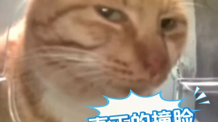 The face-matching controversy? All the backlash is now hitting Dingtang Quan instead of Xin Yunlai!