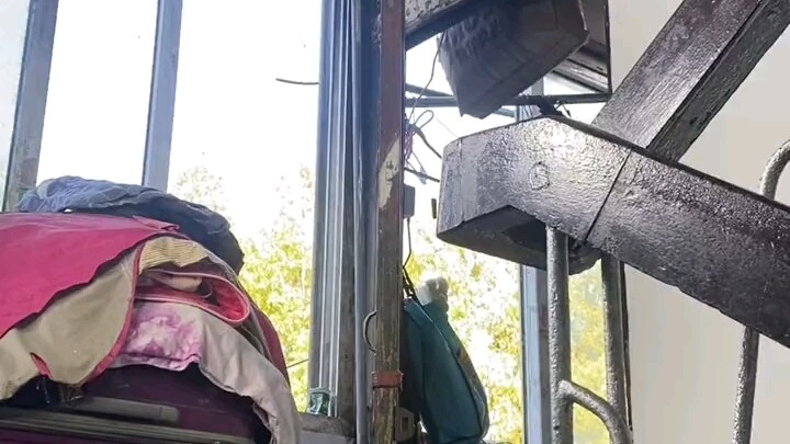 Green Vegetable Little Rice Cake