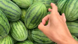 《越看越奇怪》第弹章