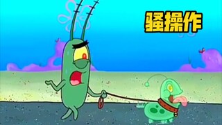 ⚡️ 海 洋 生 物 迷 惑 行 为 ⚡️