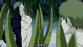 二柱子得有多菜，奇拉比吊打他一个队，鬼鲛至少有来有回
