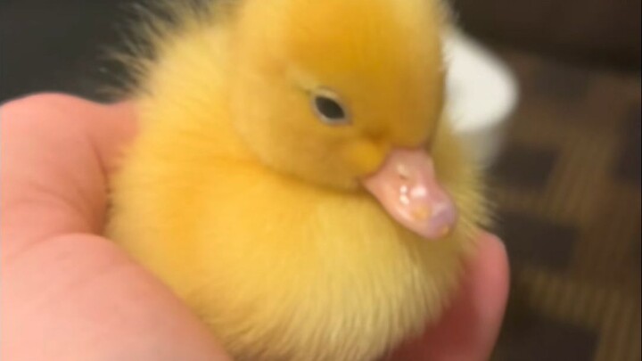 一个“坏蛋”的蜕变