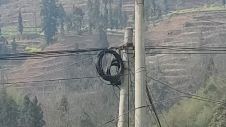 Sau khi fan của G-Dragon trở thành trưởng thôn