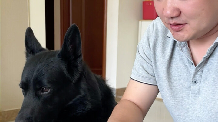 So well-behaved...