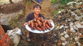 Săn loài chuột khủng và món ngon được chế biến từ chuột đồng /tt212