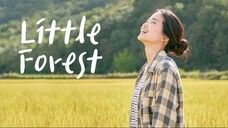Little Forest (2018) Eng Sub