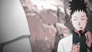 Sau này Shikamaru vốn ghét mùi thuốc lá đã học hút thuốc.