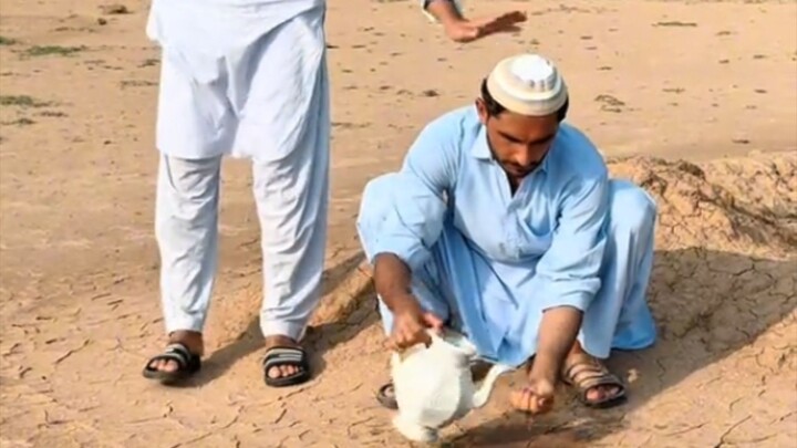 Deen Ke Naam Par Dhoka! 😱 Shani Ka Bharosa Toor Kar Dubai Bhaag Gaya | MZK Partner