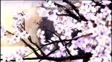 Ninja Clan Wars & Forbidden Love Episodes 1–12 English Dubbed