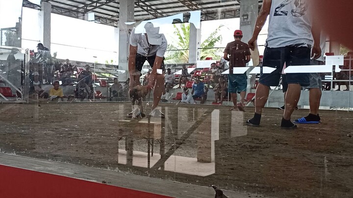 mangaldan 3 hits champion