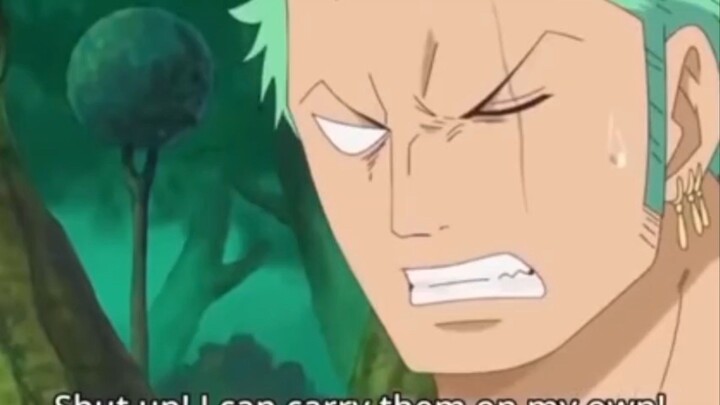 zoro geram sama luffy