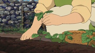 When I was young, I liked the city, but now I yearn for a vegetable field in the countryside, workin