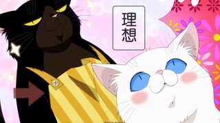 黑猫成为小猫的榜样，竟然还学会了走路，女主得知后，彻底慌了...
