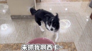 Hôm nay là tiết thể dục