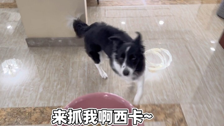 Today is physical education class