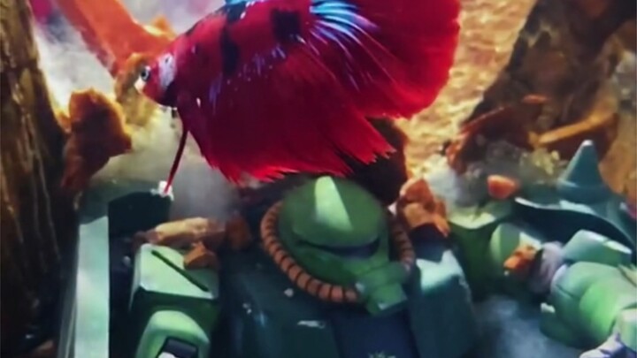 Old Li’s early videos filmed while enduring a toothache—seriously, it’s not for show; he was really 